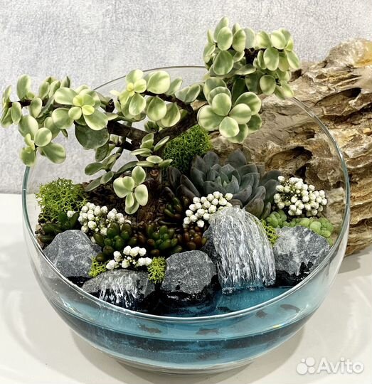 Флорариумы