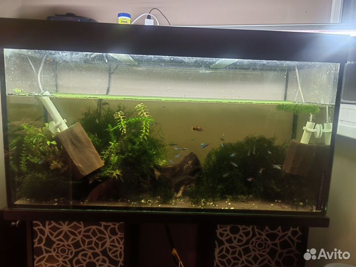 Аквариум с тумбой