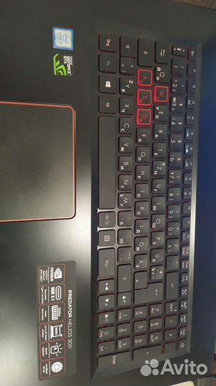 Acer predator