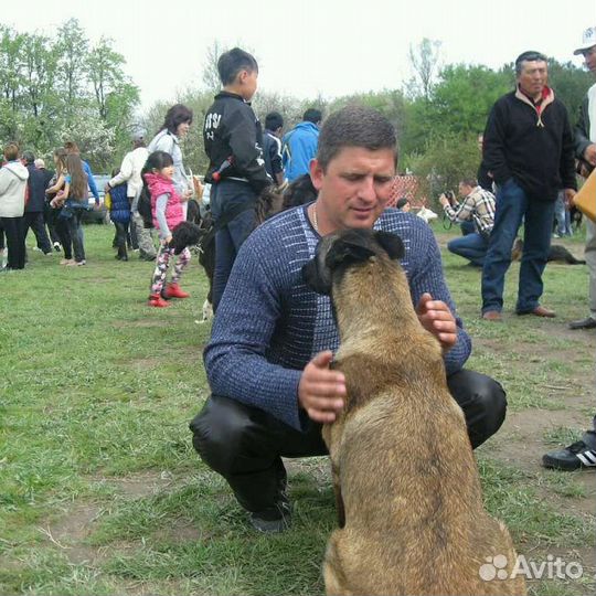 Кинолог