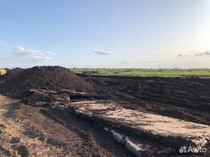 Чернозем