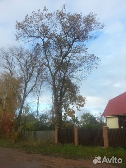 Спилим деревья любой сложности. Работы на высоте