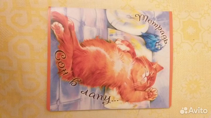 Набор тетради Котики 48л, 3шт