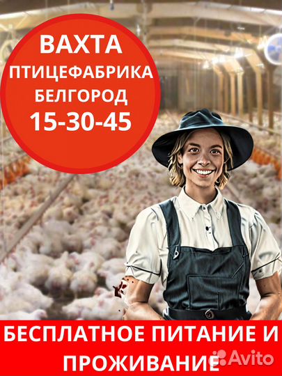 Работа. Птицефабрика. Белгород. Фасовщики