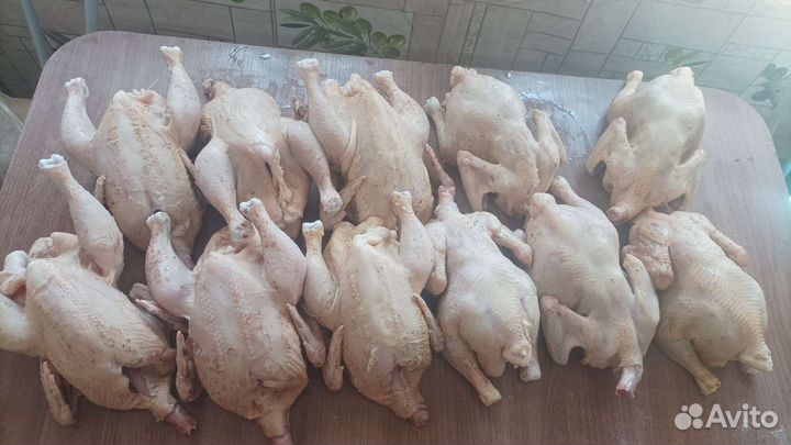 Куры бройлеры