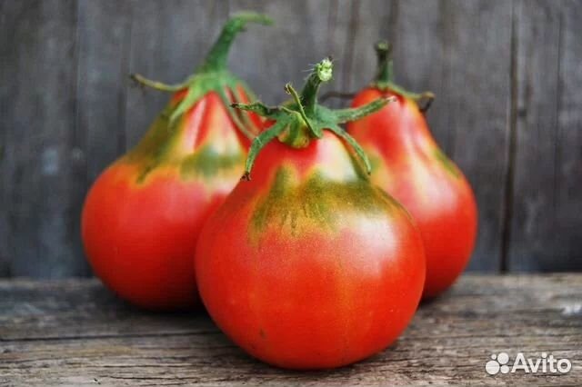 Рассада помидор огурцов перцев и другое