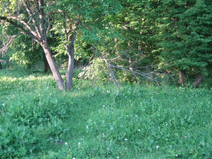 Участок 14 сот. (ИЖС)