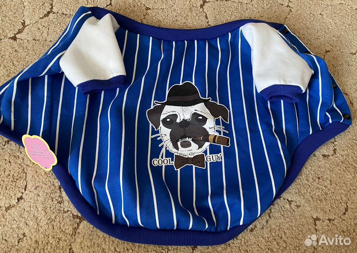 Толстовка на кнопках на французского бульдога