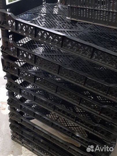 Пластиковые ящики для овощей бу