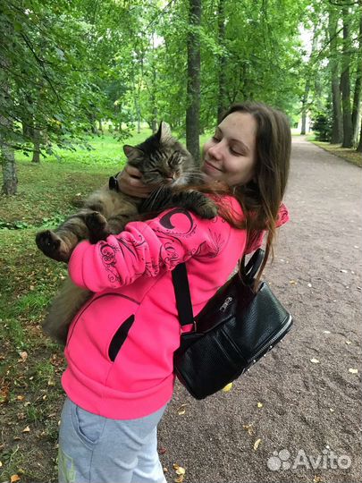 Выгул - зооняня - передержка 