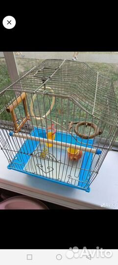 Клетка для попугая