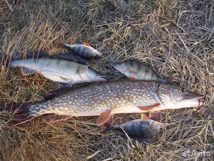 Рыбалка с лодки