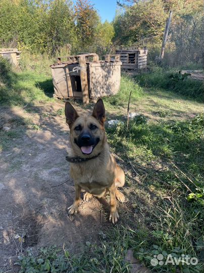 Найде ищем Дом