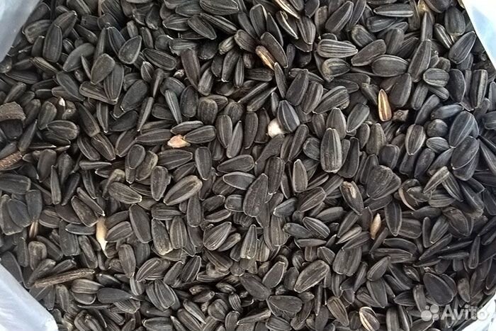 Семечки кормовые 30 кг доставка