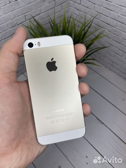 iPhone 5s 16gb gold