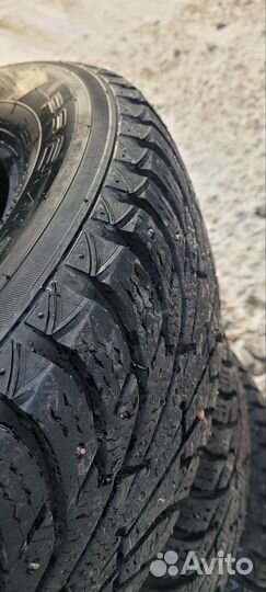 Maxxis Premitra Ice Nord NS5 (5 SUV) 2.25/7 R6.5 98