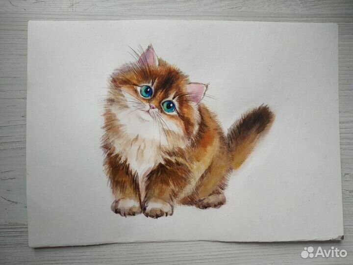 Кошка. Рисунок. Акварель