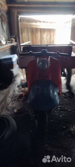 Муравей Моторолер