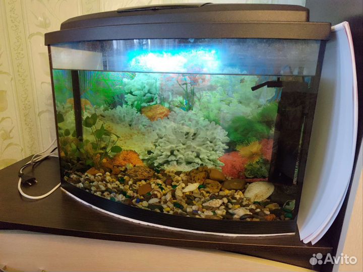 Аквариум