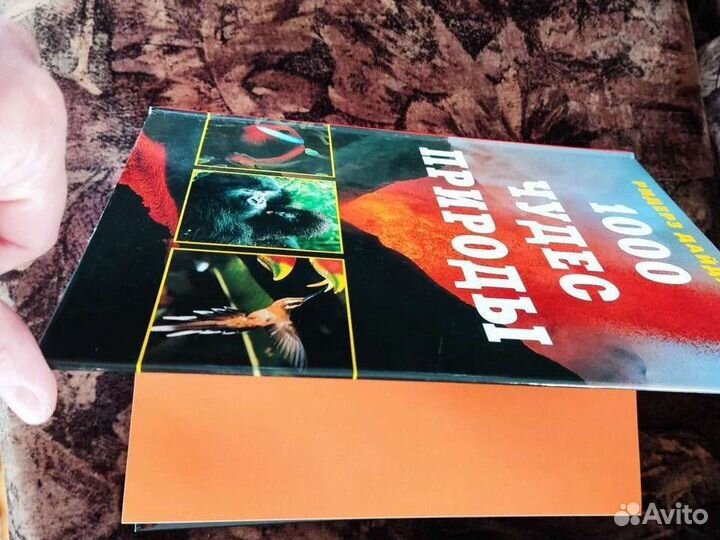 1000 чудес природы супер качество