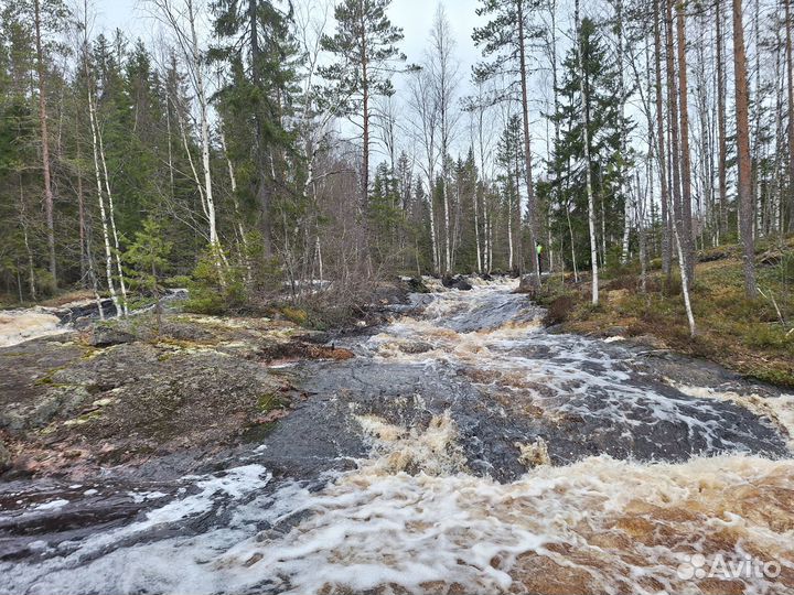 Сплав по реке Лоймола
