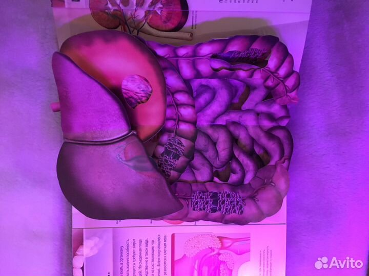 Интерактивный атлас