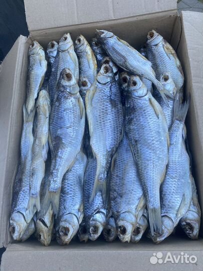 Вяленая рыба вобла Астроханская