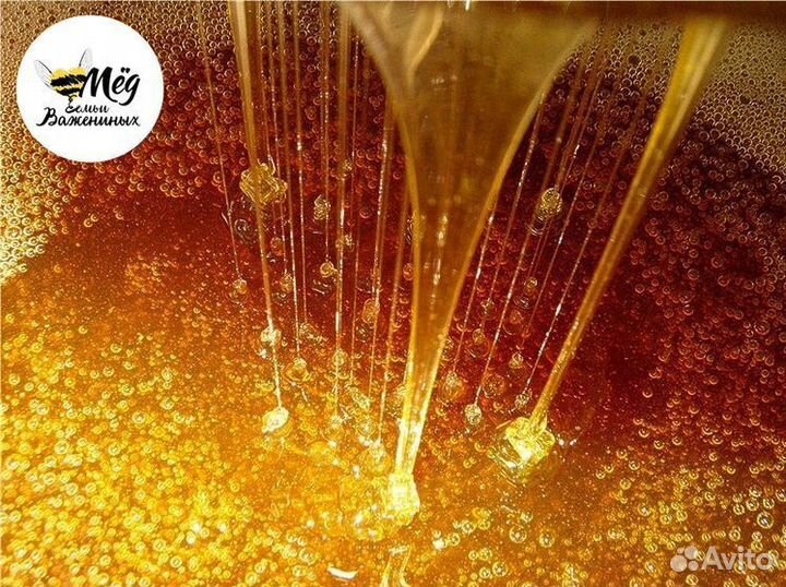Мед свежий 2023. Гречишный, липовый, акациевый