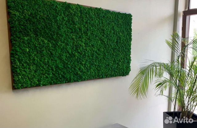 Стабилизированный мох ягель, пласт, кочка