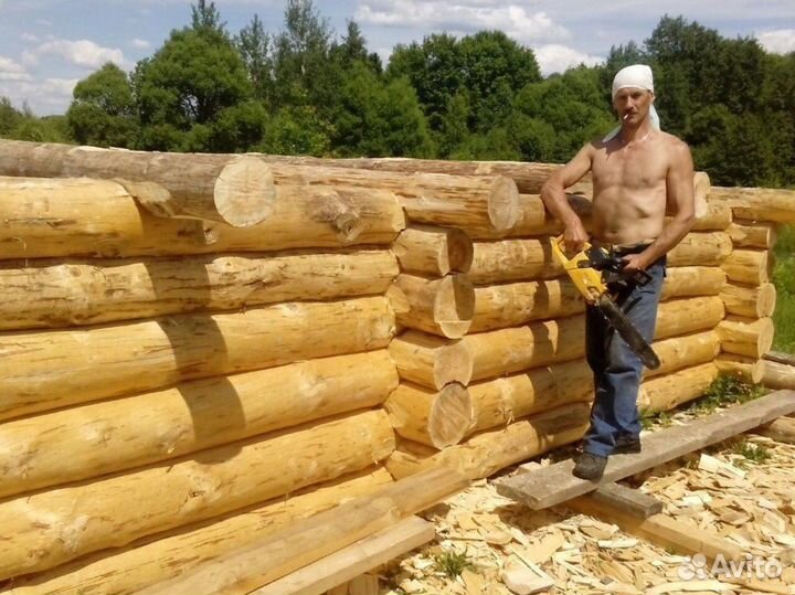 Срубы бань,домов,беседок под заказ