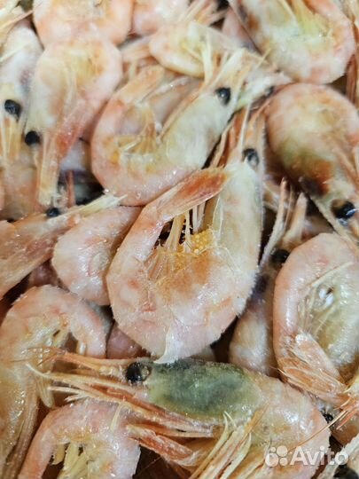 Креветка северная 5кг