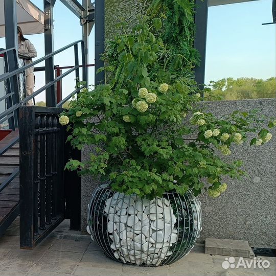 Вазон большой