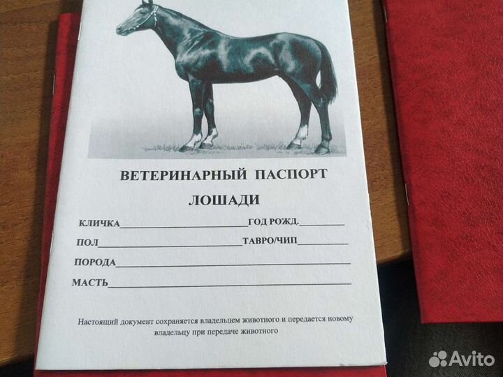 Ветеринарный паспорт лошади