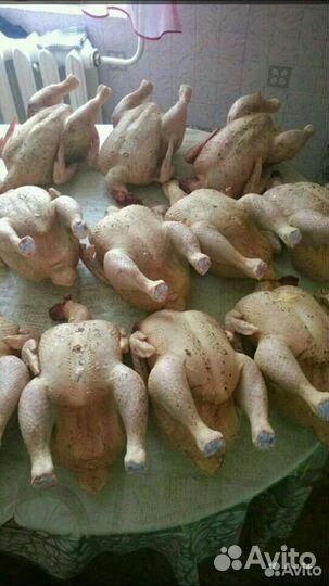 Мясо Цыпленка-бройлера-запись на октябрь