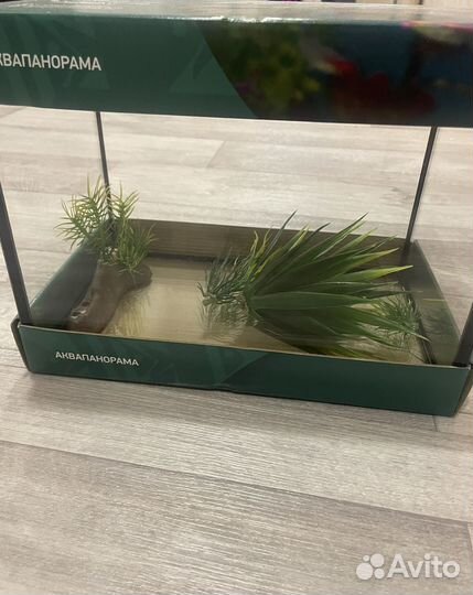 Аквариум