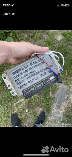 Эбу январь 7 2