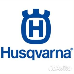 Ремонт бензотриммеров/бензопил