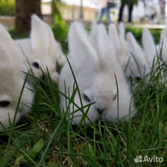 Зайка, игрушка-сувенир