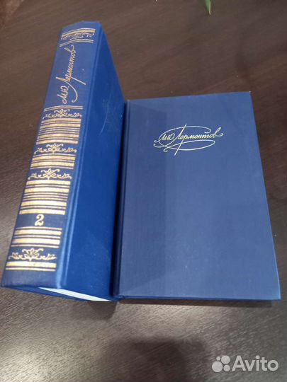 Лермонтов в 2-х т