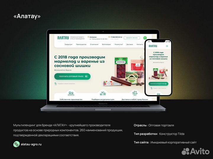 Создание, разработка и продвижение сайтов под ключ