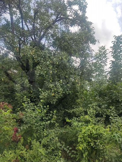 Дача 90 м² на участке 4,9 сот.