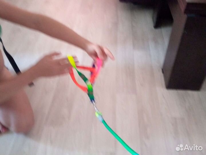 Шлейка для кошки разноцветная регулируется