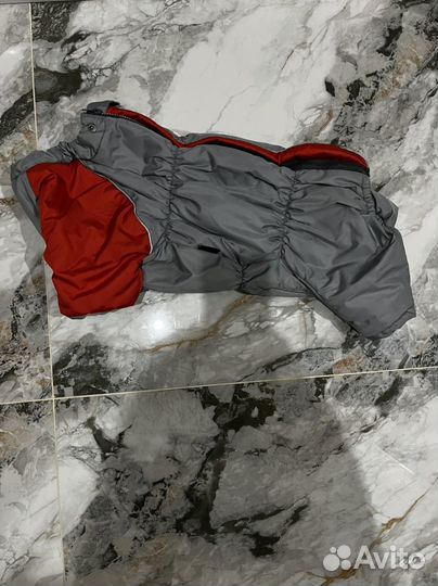 Одежда для собак средних пород