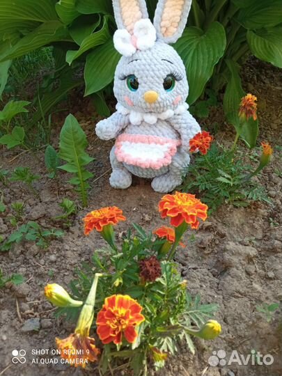 Заюшка-хозяюшка