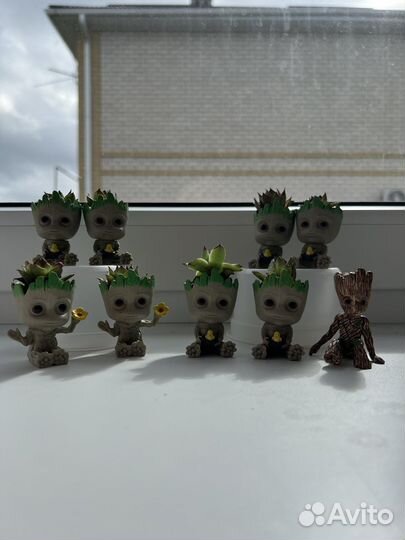 Кашпо грут с суккулентом