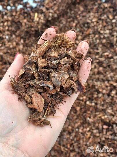 Мульча кедровой шелухи