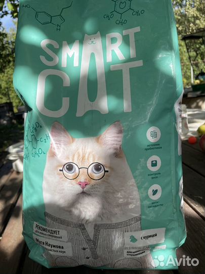 Корм для собак