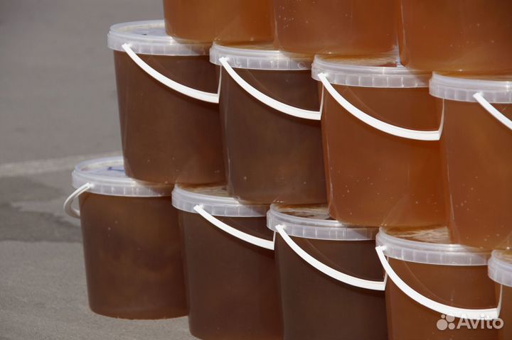 Свежий мёд сентябрь 2023 - доставка бесплатная