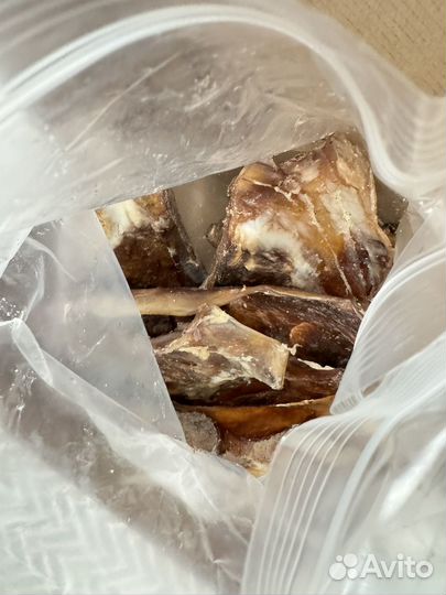 Лопаточный хрящ