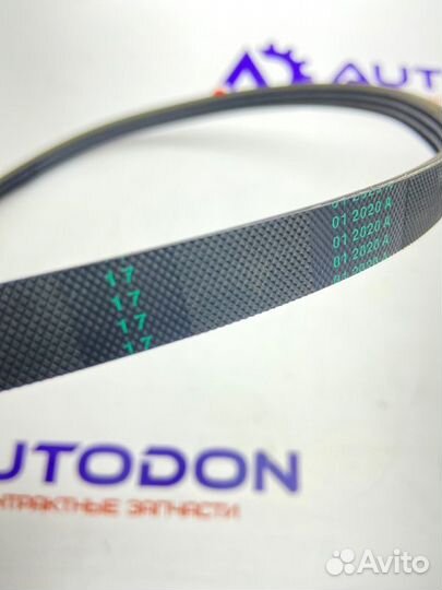 Ремень компрессора кондиционера Bmw X5 E53 2005